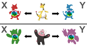 Komala Evolution Future Pokemon Evolution 2018 Youtube Its cheeks, tail and eyebrows are colored white. komala evolution future pokemon