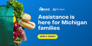 You need this information when you check your eligibility and apply for assistance. Mdhhs Michigan Department Of Health And Human Services