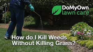 On this blog i'll share some of my best tips and tutorials to help you make your lawn. How Do I Kill My Weeds Without Killing My Grass Weed Control Tips Domyown Com Youtube