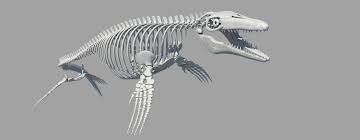 Pin On Prehistoric