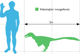 Download File Vraptor Scale Svg Wikimedia Commons 3D SVG Files Ideas | SVG, Paper Crafts, SVG File