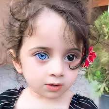 De Haans Destiny bus design and similarities