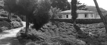 Heritage Bungalows. - Sikkim, West ...