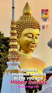 Let's welcome our new members: Chamar Ji Parehrapur, Pardeep Kumar, भंते  नागसेन, Arun Kumar