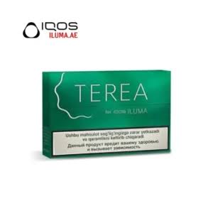 Buy IQOS TEREA Turquoise Uzbekistan in Dubai
