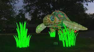 Wild Lights To Illuminate Sedgwick County Zoo Through Dec 5