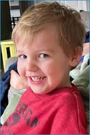 UPDATE: Four toddlers killed by dogs in 10 days: lessons yet to be learned 