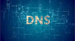 Hasil gambar untuk dns