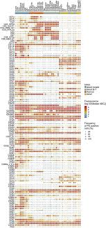 Frontiers Cd Maps Dynamic Profiling Of Cd1 Cd100 Surface