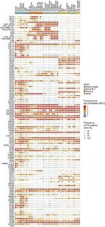 Frontiers Cd Maps Dynamic Profiling Of Cd1 Cd100 Surface