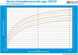 Exact Children Head Circumference Chart 2019