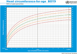 exact children head circumference chart 2019