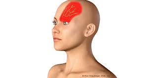 Image result for Ear Nerve Block