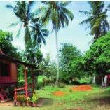 Rekabentuk ruangan rumah yang lebih terbuka yang. Pdf Identity Of Malay Garden Design To Be Promoted As The Cultural Tourism Product In Malaysia