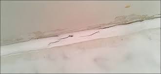 re caulk areas in your bathroom or kitchen