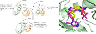 Rapid Discovery of Pyrido[3,4