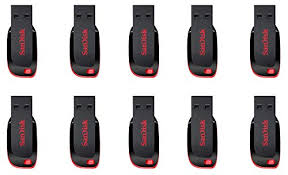 The software secureaccess also provides password protection for the private files. Sandisk 8gb Cruzer Blade Usb 2 0 Flash Memory Drive Sdcz50 008g 10 Pack Pricepulse