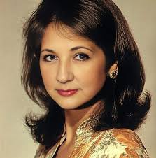 How can you hide the brick without damaging, I am renting so can't paint