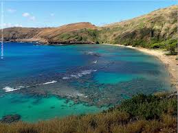 Hanauma bay nature preserve is the most popular snorkel destination in hawaii. Snorkeling Hanauma Bay Oahu Hawaii