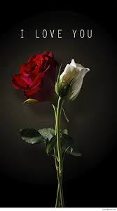Tons of awesome hd cute love wallpapers for mobile to download for free. I Love You Mobile Wallpapers Top Free I Love You Mobile Backgrounds Wallpaperaccess