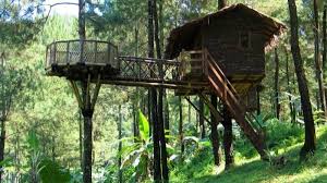 Rumah pohon (tree house) taman safari bogor. 10 Penginapan Rumah Pohon Paling Unik Dan Nyaman Di Indonesia