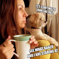Before I make a big announcement, I thought I would drop you a little  appetizer here. Come see me and a slot machine or two at one of these  casinos!! 🎰 10.2 (