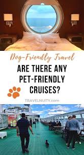 If you're looking for pet friendly when it comes to cruise ships that allow pets, there's only one: Are There Any Pet Friendly Cruises Travelnuity
