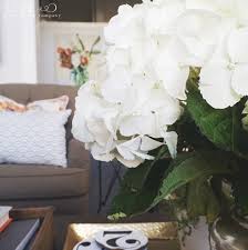 10 tricks to keep your houseplants alive this winter. How To Keep Cut Hydrangeas From Wilting