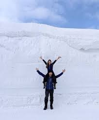 Image result for Hakkoda Walk