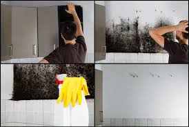 It is designed to waterproof in terior and exterior concrete, stucco, cement, cinder block and other masonry surfaces. The Best Simple Waterproofing Basement Do It Yourself Guide