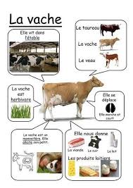 Science Infographic Mur Infographicnow Com Your Number One Source For Daily Infographics Visual Creativity French Education Learn French Science