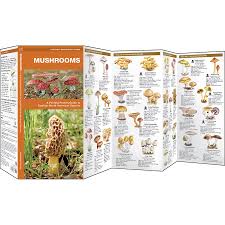 Edible Wild Mushroom Identification Guide Mushroom Guide