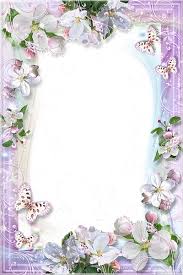 Beautiful Flowers Transparent Frame Flower Frame Photo Frame Design Boarders And Frames