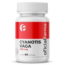 Image result for Cyanotis vaga