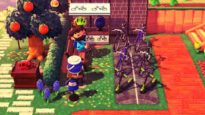 Jun 17, 2021 · choosing the best mountain bike for: Made A Small Bike Rental Shop On My Island Animalcrossing