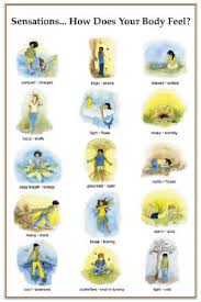 Image result for Sensation