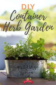 Oregano is an enthusiastic grower in the garden and putting it in a pot is an easy and beautiful way to control its growth. Diy Herb Container Garden The Kitchen Garten