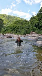 The Historic Castleton Botanical Garden — Nature's Sweet Escapes