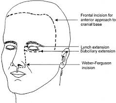 We did not find results for: Jaypeedigital Ebook Reader