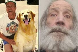 The curse of 'Air Bud', the Michael Jordan of dogs: What happened to Buddy  and his owner?