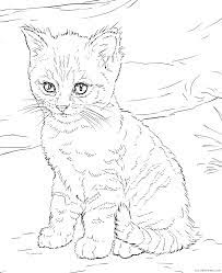 Show your kids a fun way to learn the abcs with alphabet printables they can color. Kitten Coloring Pages Animal Printable Sheets Cute Realistic Kitten 2021 2978 Coloring4free Coloring4free Com
