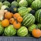 CSA Produce Distribution