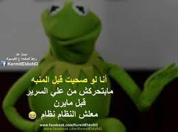النظام نظام arabic funny funny quotes funny comments