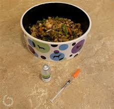 This diabetic dog food is specifically designed for diabetic dogs. Diabetic Dog Food Recipes Homemade Homemade Dog Food Recipes For Ibd Homemade Dog Food These Simple Recipes Have A Good Balance Of Protein Veggies While We Stress About
