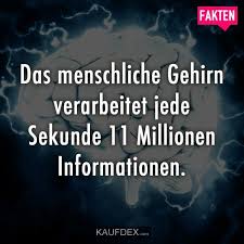 Das Menschliche Gehirn Verarbeitet Jede Sekunde 11 Millionen Kaufdex Das Menschliche Gehirn Faszinierende Fakten Fakten