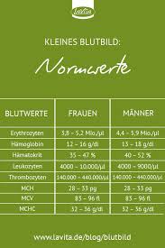 Ob Eine Entzundung Infektion Oder Leere Vitaminspeicher Vorliegen Unser Blut Kennt Die Antwort Hier Erfa Gesundheit Anatomie Lernen Anatomie Und Physiologie