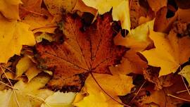 Ohio Fall Challenge Triathlon, Duathlon & Aquabike