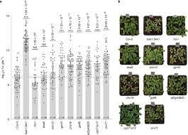 Yellow will produce the best results. A General Non Self Response As Part Of Plant Immunity Nature Plants