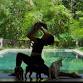 29th November 2:30 PM Puppy Yoga Canggu event image