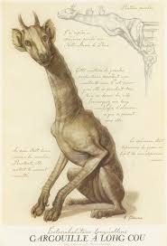 Image result for tbn:q8vpbjWx_xmJDM::pic.dll3.cc/data/media/1/babeis%2520(294